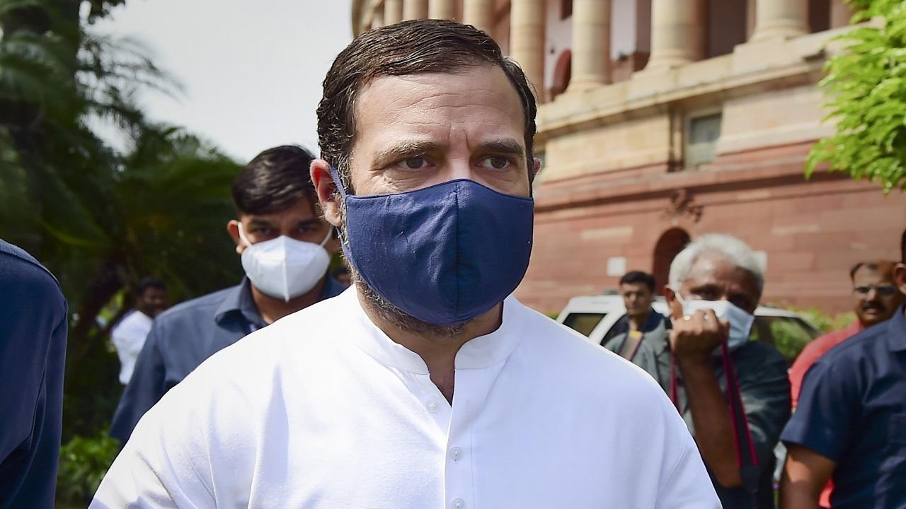 Rahul Gandhi, other Bharat Yatris observe 2-minute silence for victims of Morbi bridge tragedy